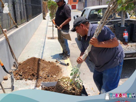 1686504873 12 El Ayuntamiento de tonantla y la Direccion de Ecologia realizaron