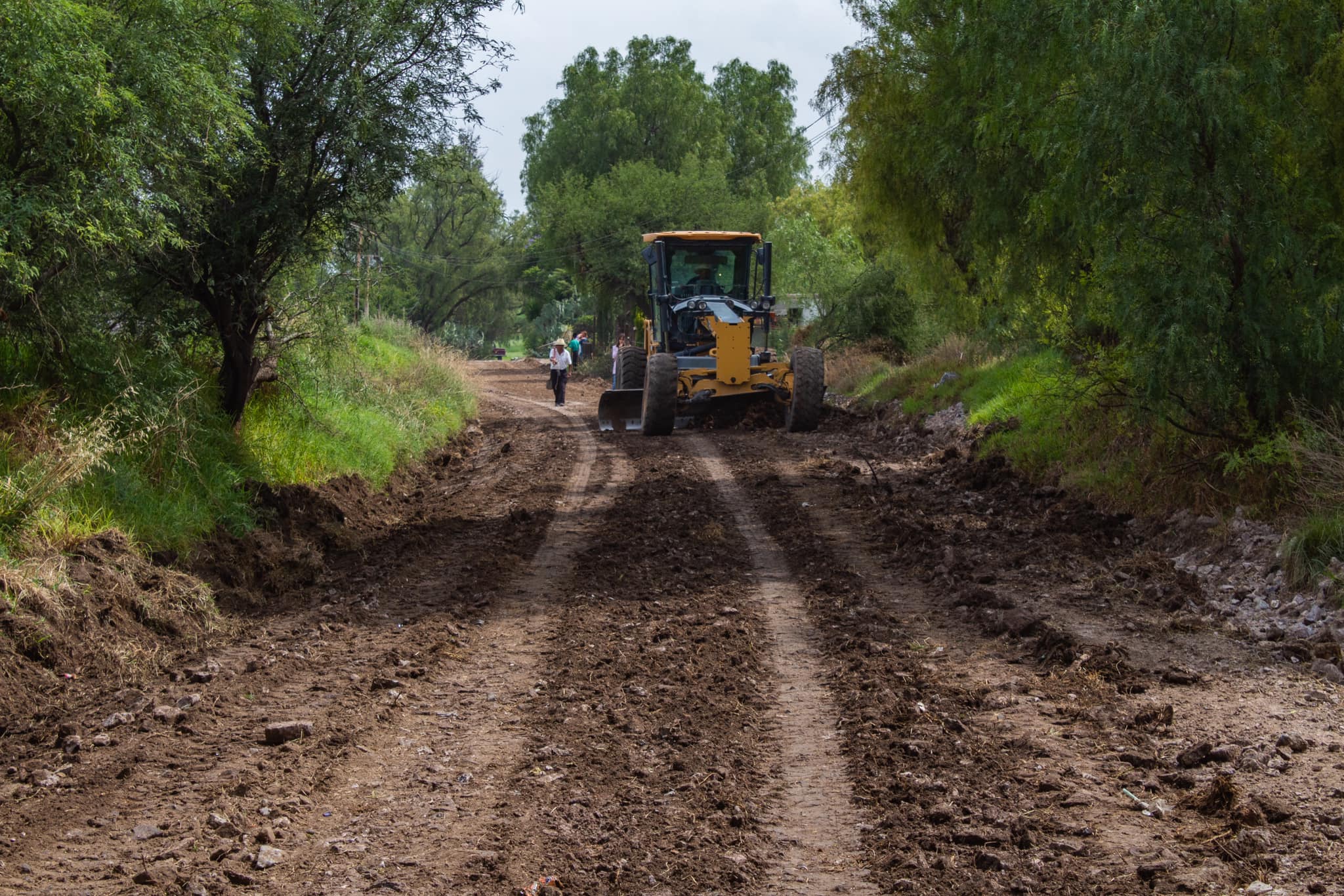 1686511224 310 CAMINOS SACACOSECHAS Los caminos sacacosecha son tramos de terraceria que