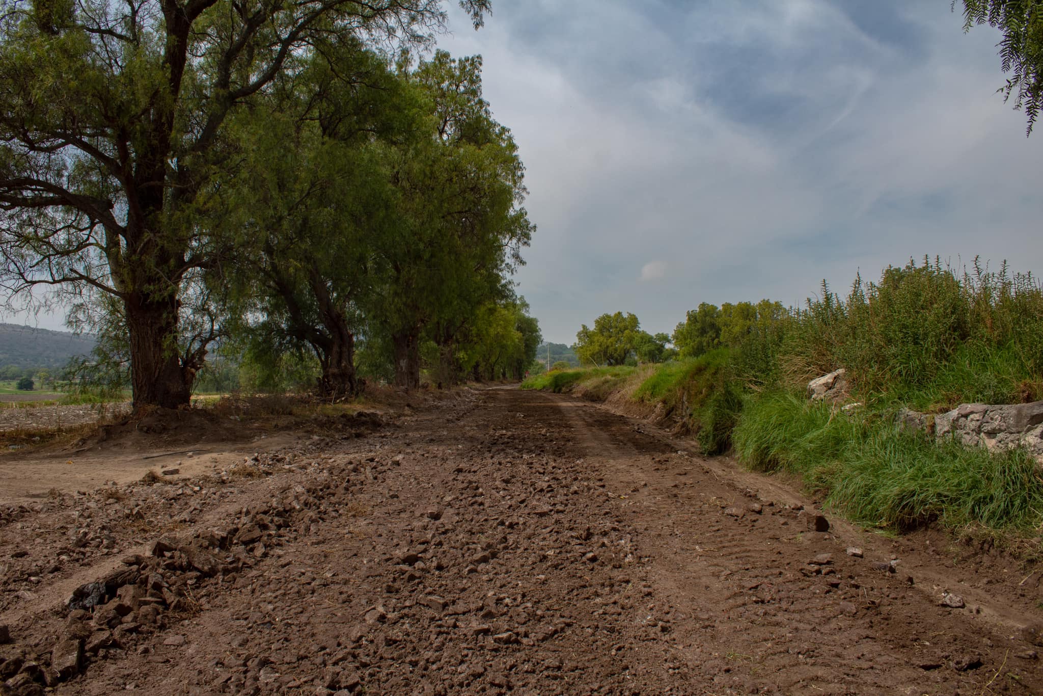 1686511229 770 CAMINOS SACACOSECHAS Los caminos sacacosecha son tramos de terraceria que