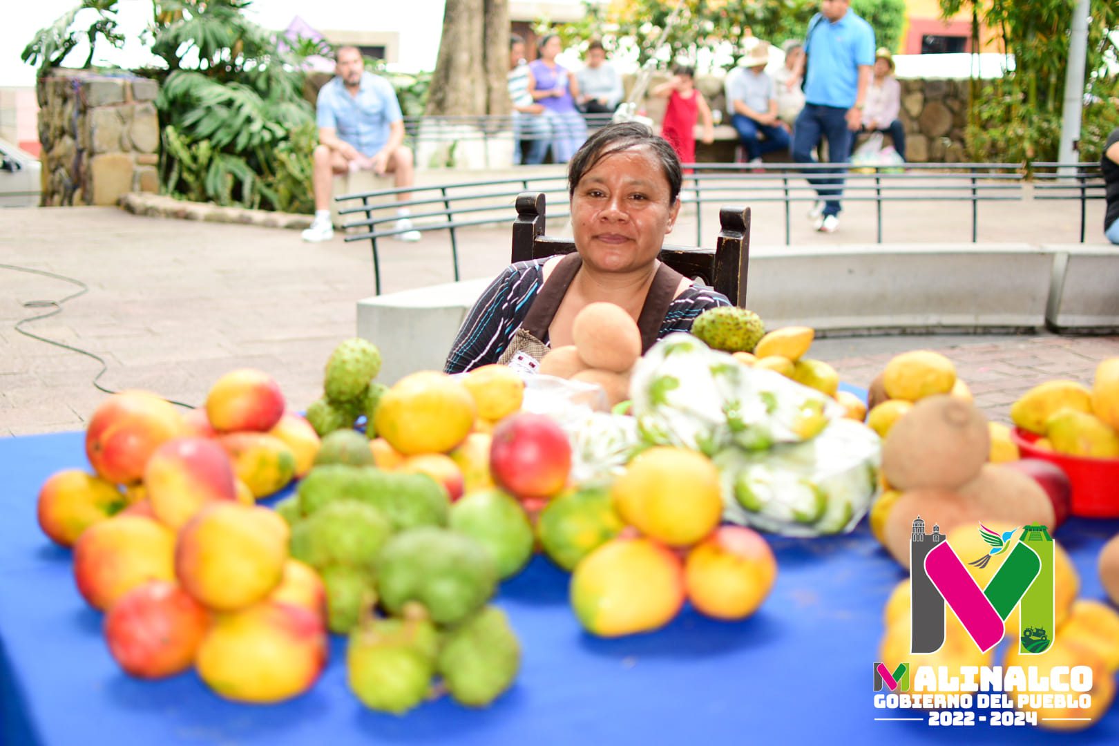 1686513575 182 Continua el entretenimiento en el gran Festival del Mango Malinalco