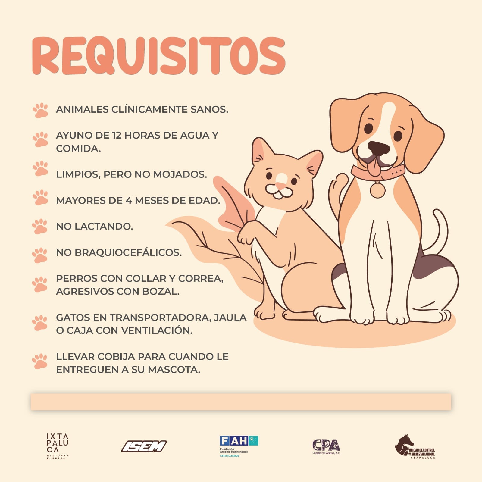 1686571882 136 NOVENA JORNADA GRATUITA DE ESTERILIZACION Este 14 de junio acude