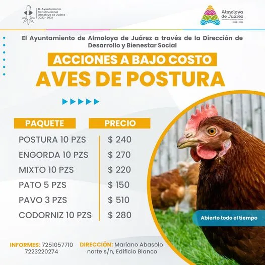 1686587139 Vecinas y vecinos nuestras Acciones a bajo costo de Aves jpg