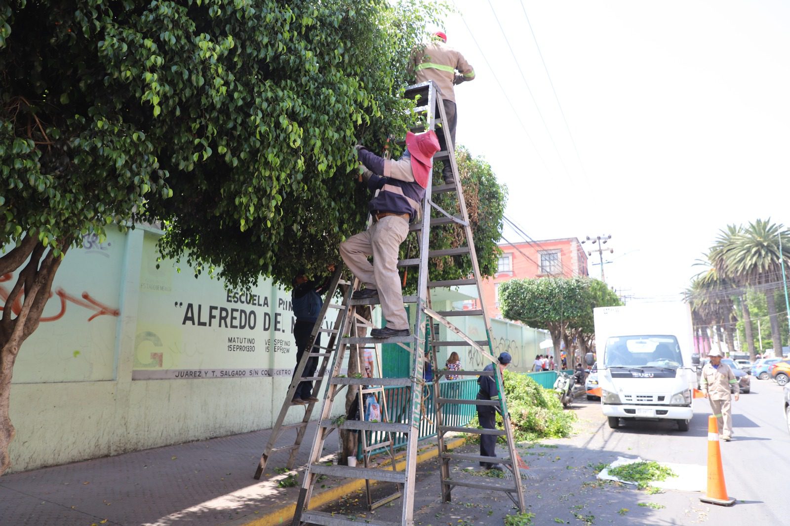 1686589881 543 Para el embellecimiento de la imagen urbana del centro del