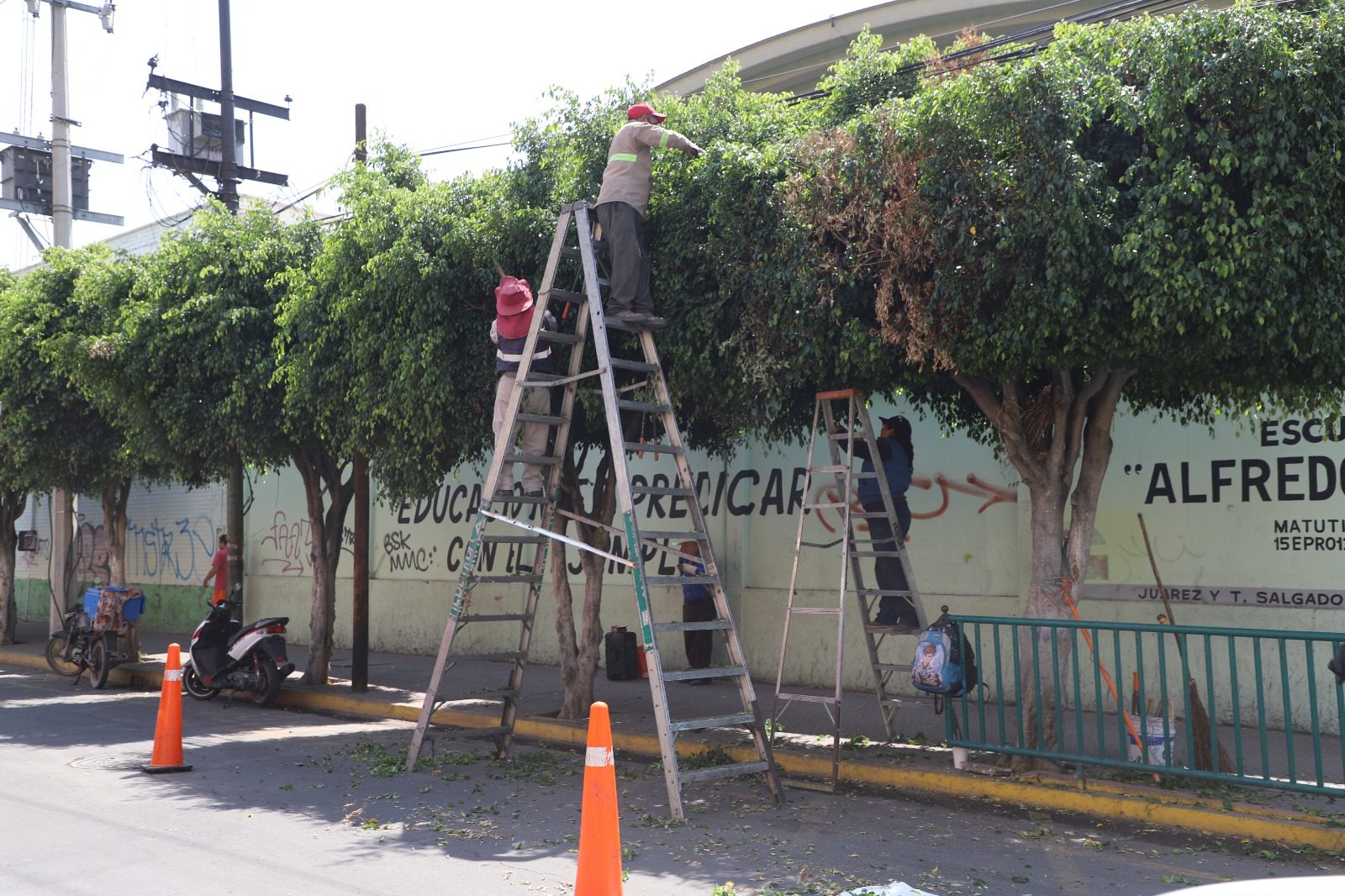 1686589894 763 Para el embellecimiento de la imagen urbana del centro del