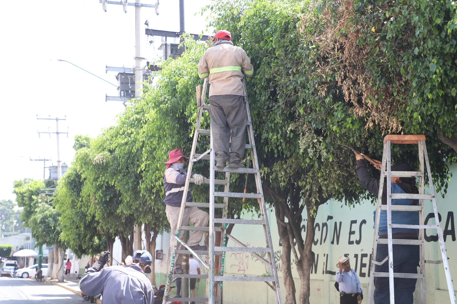 1686589940 Para el embellecimiento de la imagen urbana del centro del jpg