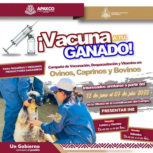 1686590678 VACUNA GRATIS A TUS BORREGAS CHIVAS VACAS Y TOROS jpg