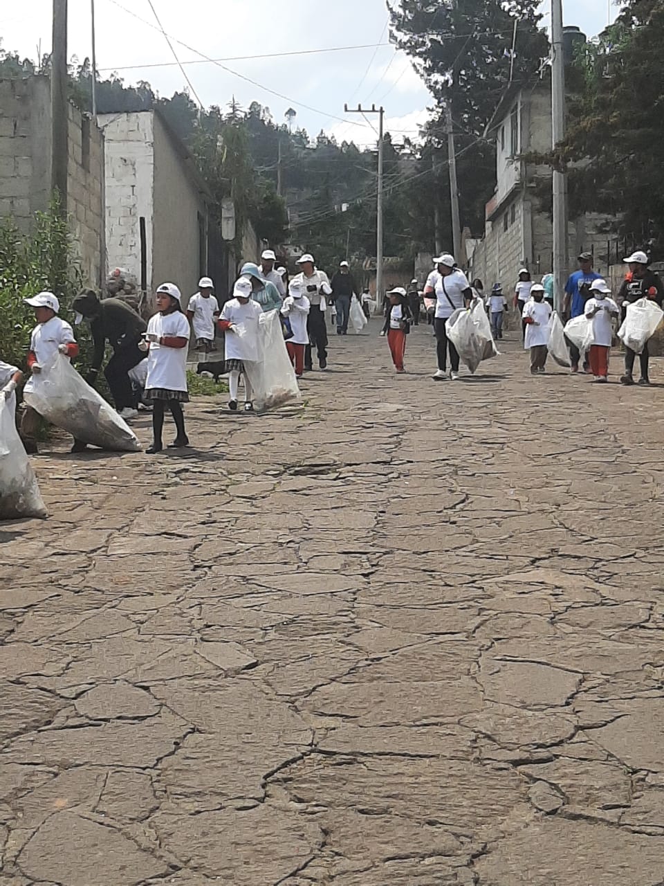 1686599603 637 Juntos por el medio ambiente En la Escuela Primaria Miguel