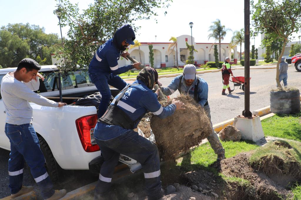 1686610341 44 En Tecamac promovemos el cuidado del medio ambiente a traves