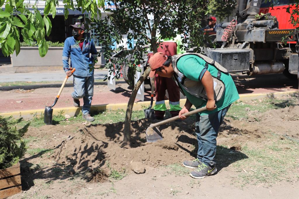 1686610381 En Tecamac promovemos el cuidado del medio ambiente a traves