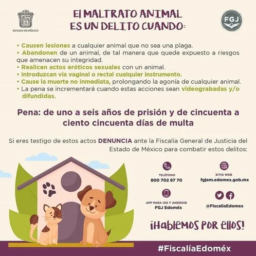 1686676730 EL MALTRATO ANIMAL jpg