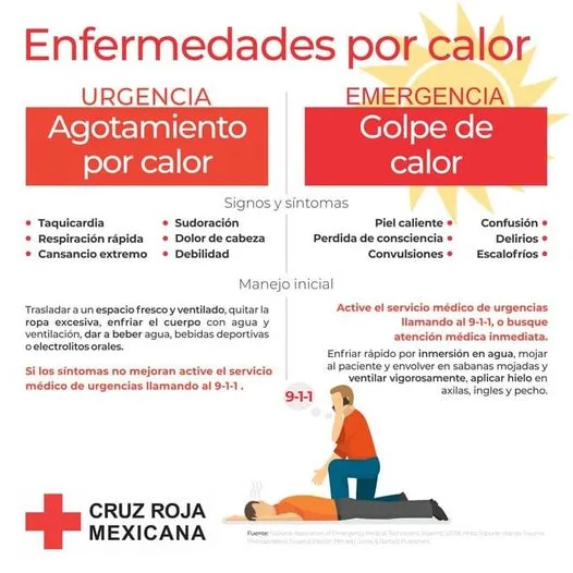 1686677089 El calor sigue te compartimos los sintomas de dos enfermedades jpg