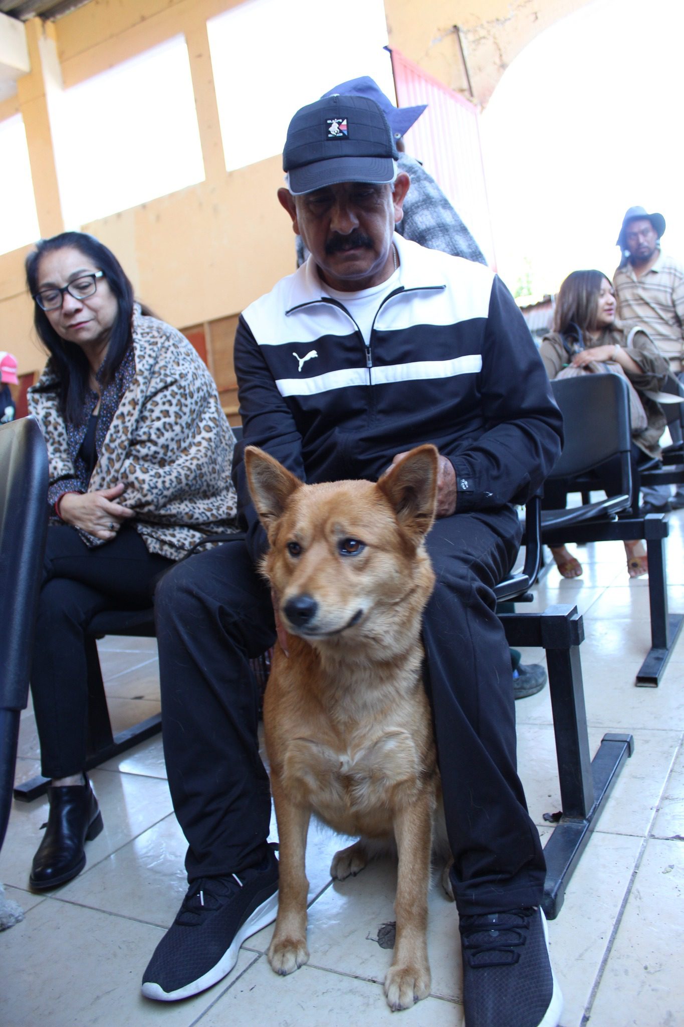 1686678869 909 La jornada de esterilizacion canina y felina esta por dar