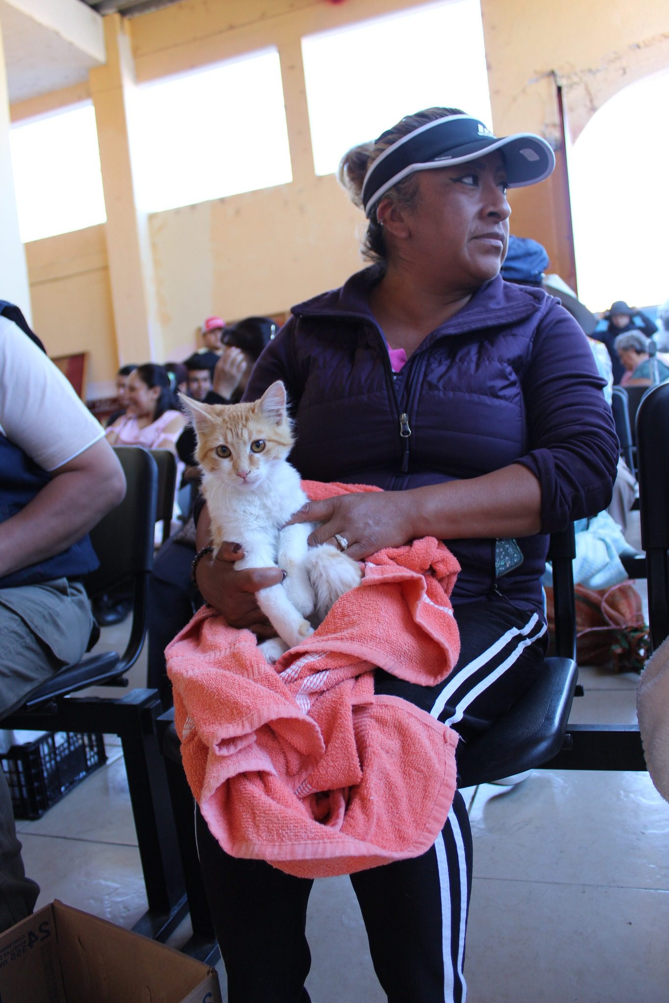 1686678876 214 La jornada de esterilizacion canina y felina esta por dar