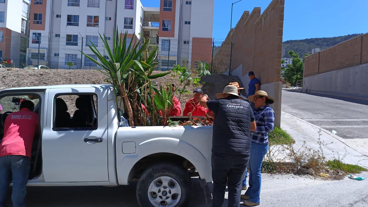 1686746738 524 Recuperacion de espacios verdes Continuando con las acciones a