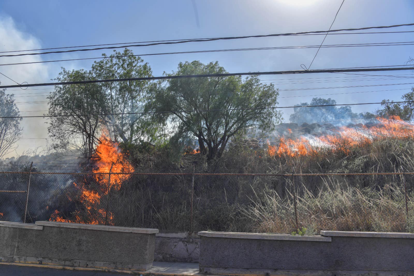 1686747934 Gracias a la pronta respuesta de proteccion civil y bomberos