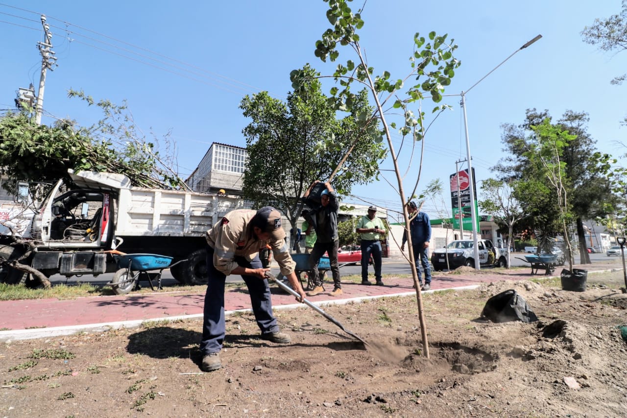 1686762799 306 ServiciosPublicos Con el objetivo de recuperar y rehabilitar areas