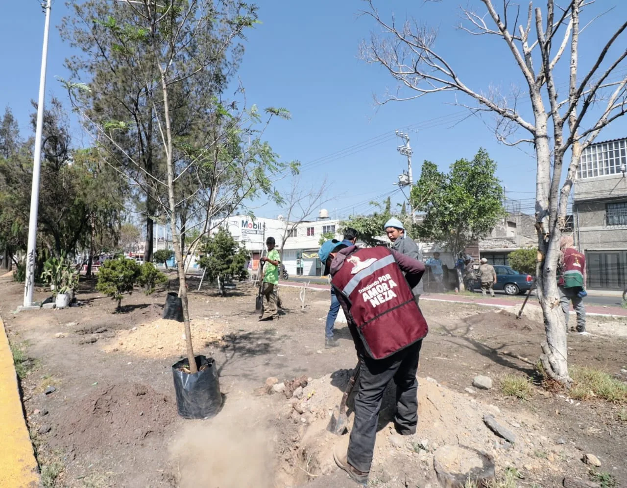 1686762857 ServiciosPublicos Con el objetivo de recuperar y rehabilitar areas jpg