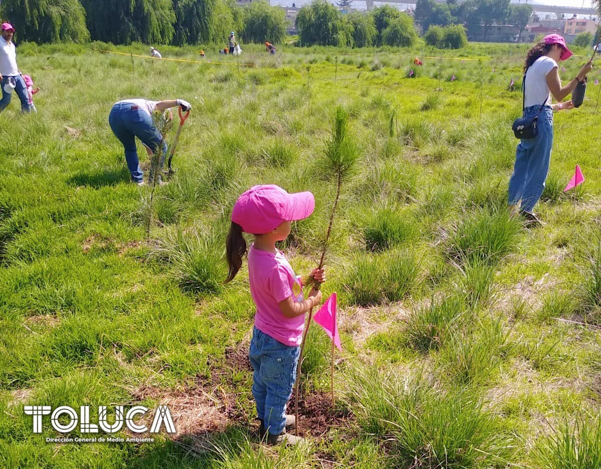 1686777321 96 ¡Arrancamos nuestras jornadas de Reforestacion2023 Gracias a la participacio