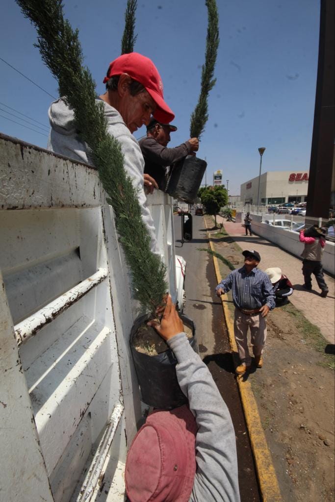 1686779779 353 INICIA CAMPANA DE REFORESTACION 2023 EN CHIMALHUACAN