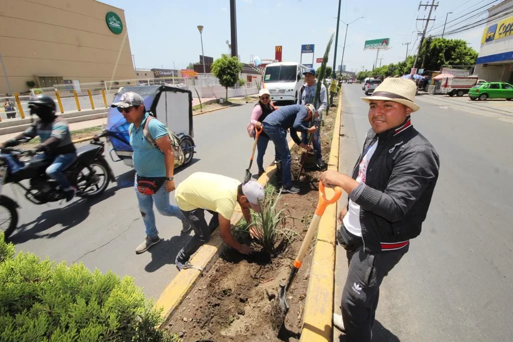 1686779839 INICIA CAMPANA DE REFORESTACION 2023 EN CHIMALHUACAN jpg