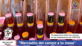 1686783413 MERCADITO DEL CAMPO A TU MESA