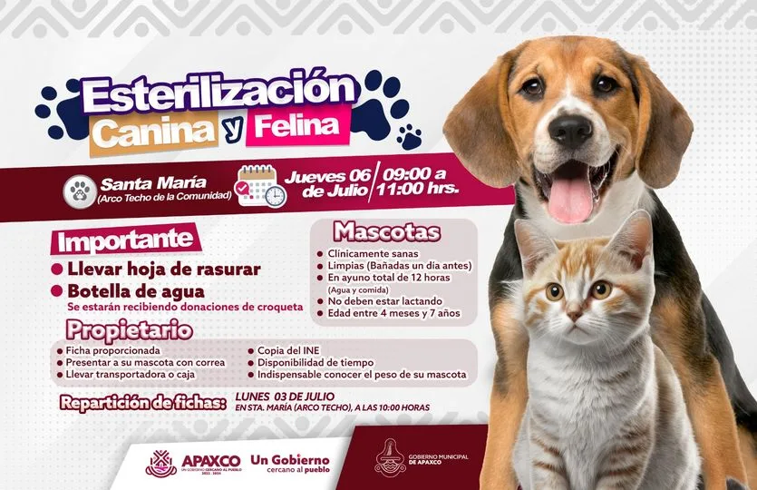 1686841554 EN SANTA MARIA ESTERILIZACION GRATUITA CANINA Y FELINA jpg