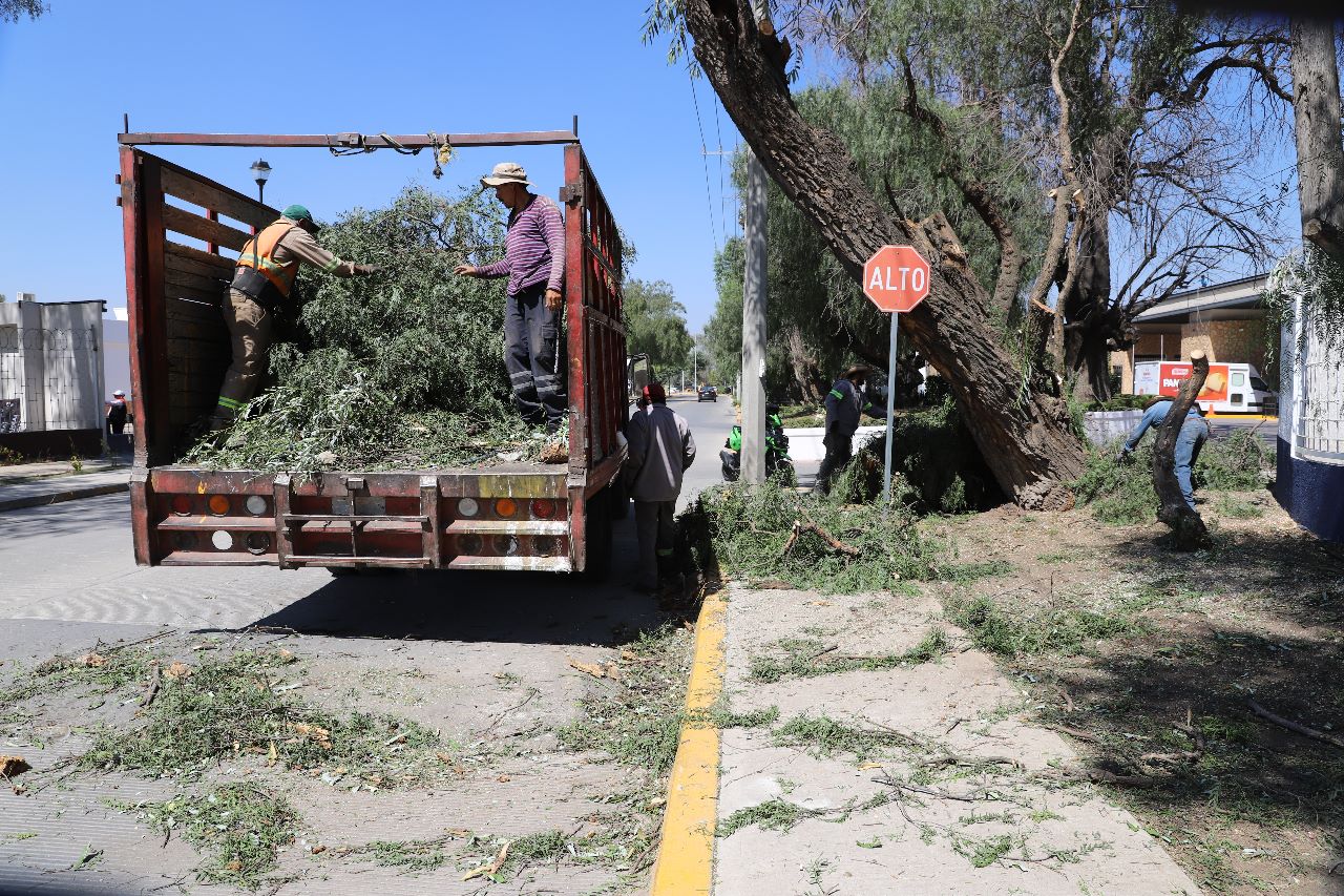 1686856889 843 Para el embellecimiento de la imagen urbana en calles y