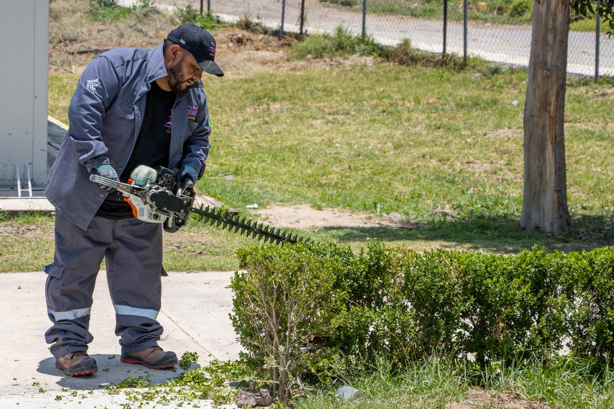 1686865939 353 A traves de la Jefatura de parques y jardines se