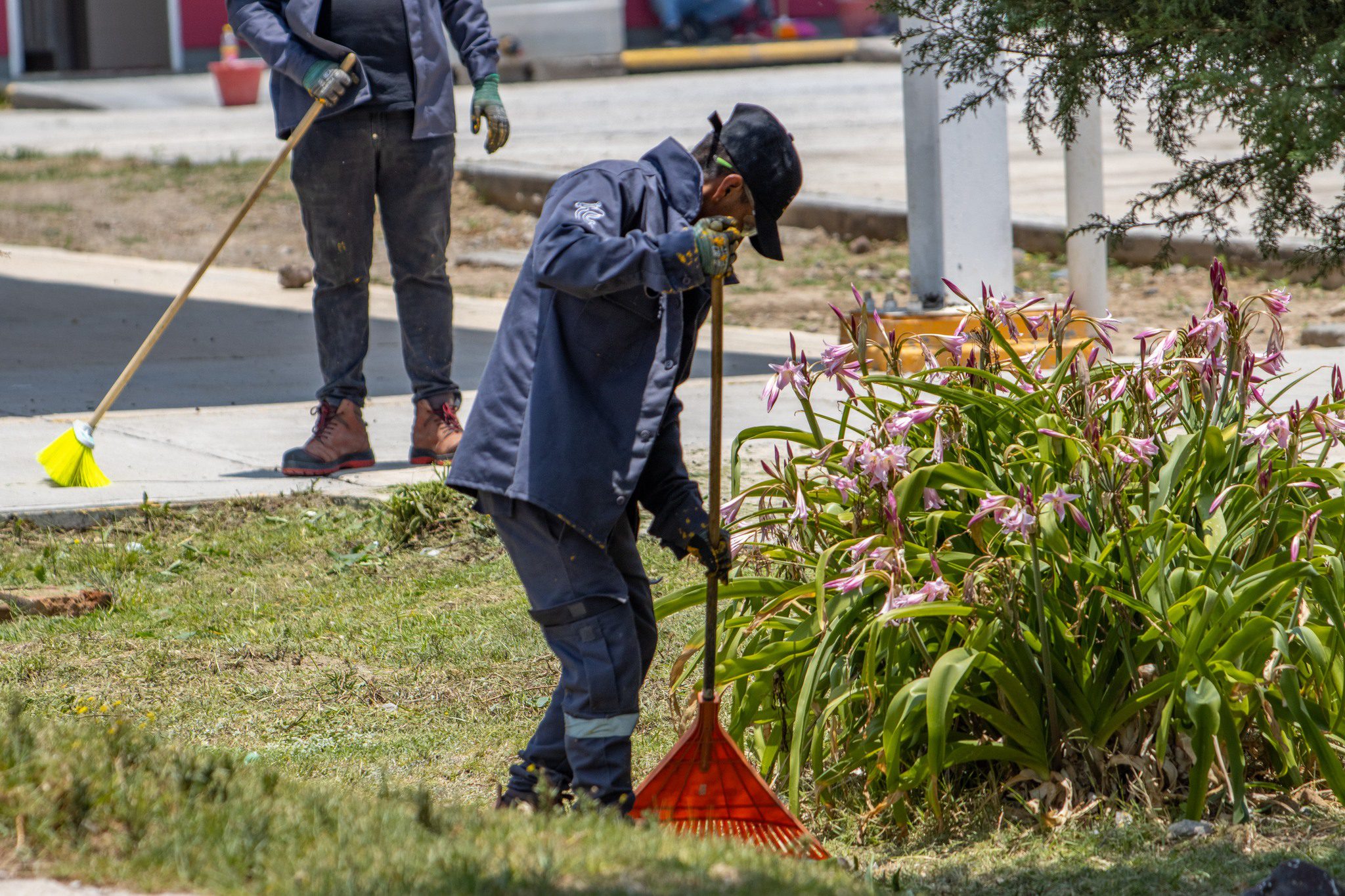 1686865947 151 A traves de la Jefatura de parques y jardines se