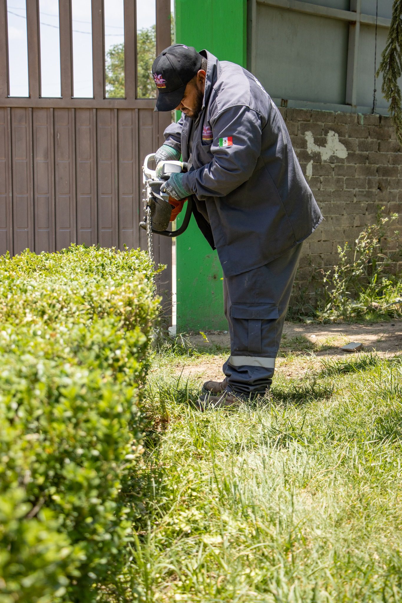 1686865961 633 A traves de la Jefatura de parques y jardines se