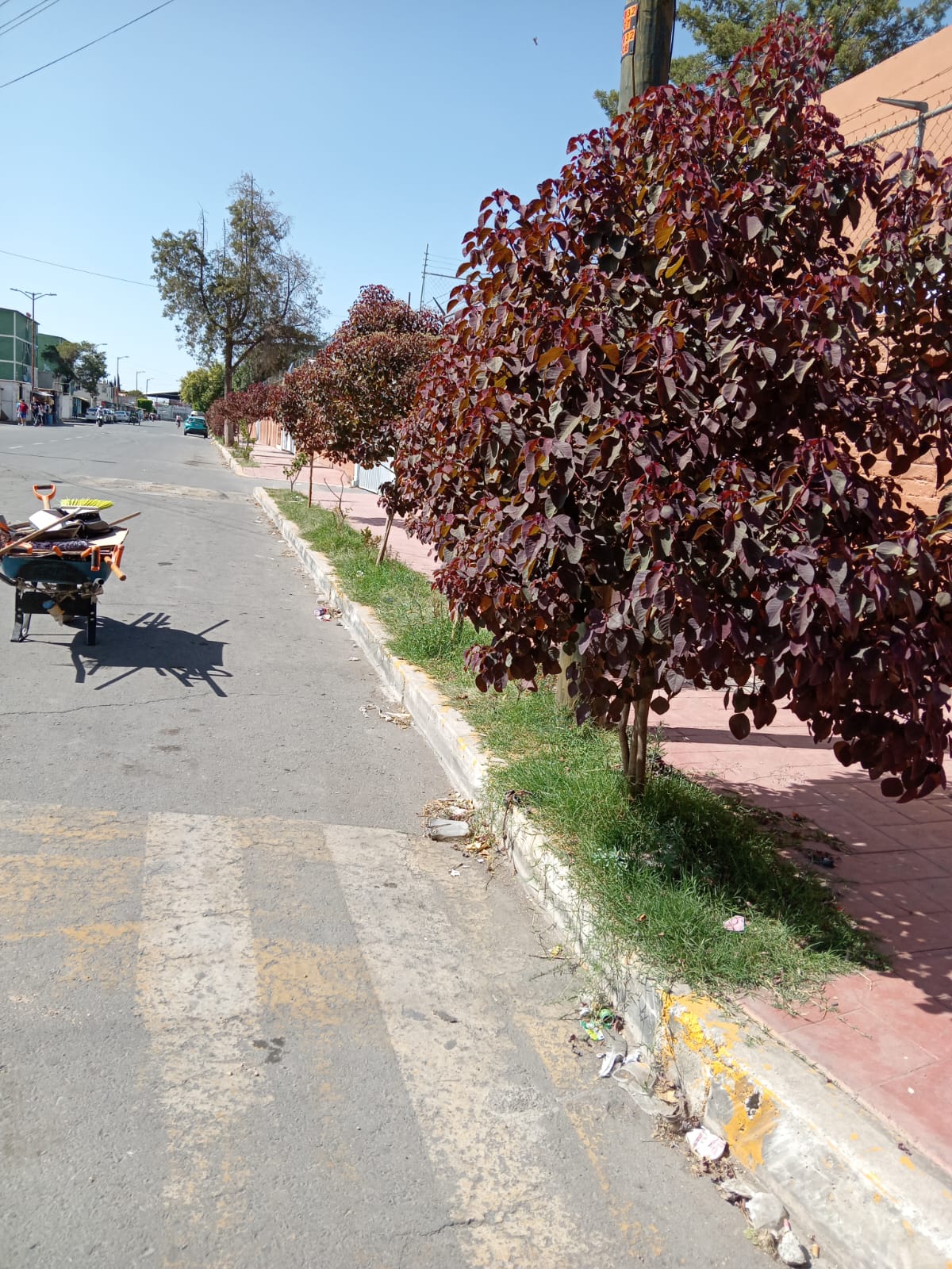 1686872895 516 El Gobierno Municipal de Jaltenco que preside la C Rosario