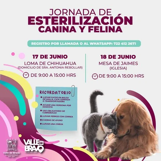 1686927231 Las y los invitamos a las jornadas de esterilizacion canina jpg