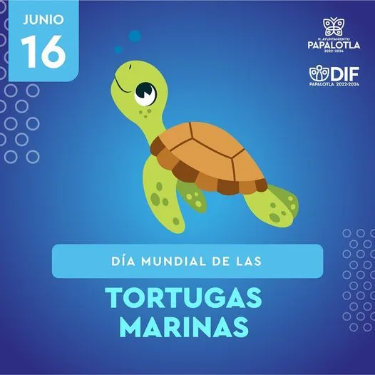 1686928616 DiaDeLaTortugaMarina Han estado en los mares por millones de jpg