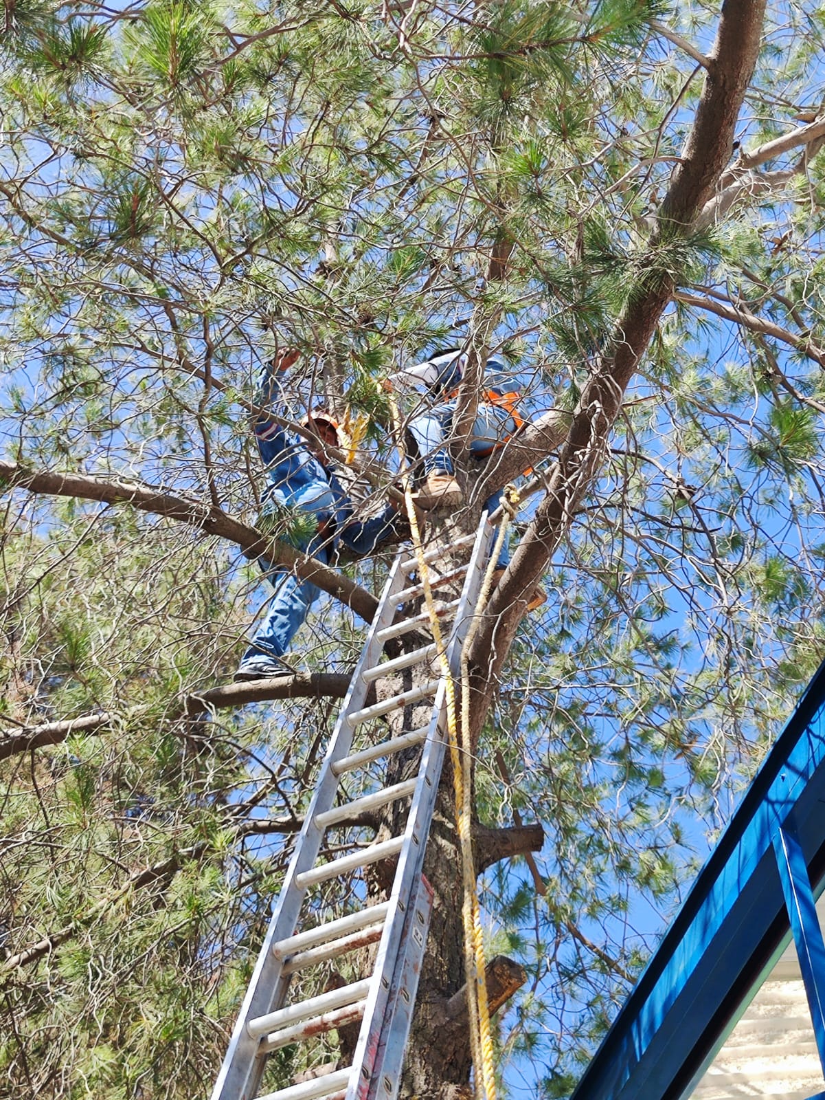 1686947656 963 El Gobierno Municipal de Jaltenco encabezado por la C Rosario