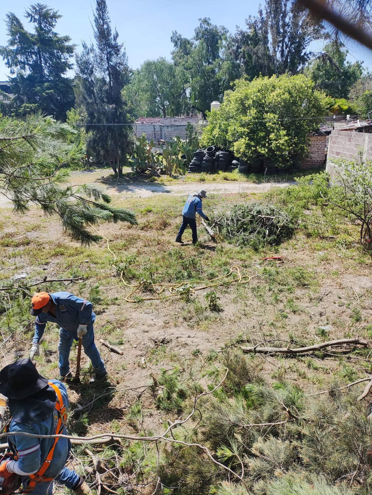 1686947661 804 El Gobierno Municipal de Jaltenco encabezado por la C Rosario