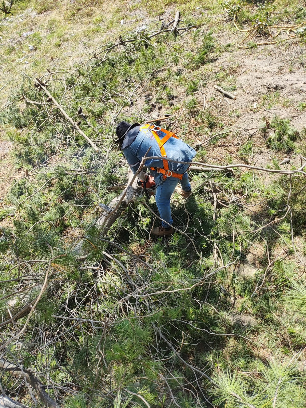 1686947667 935 El Gobierno Municipal de Jaltenco encabezado por la C Rosario