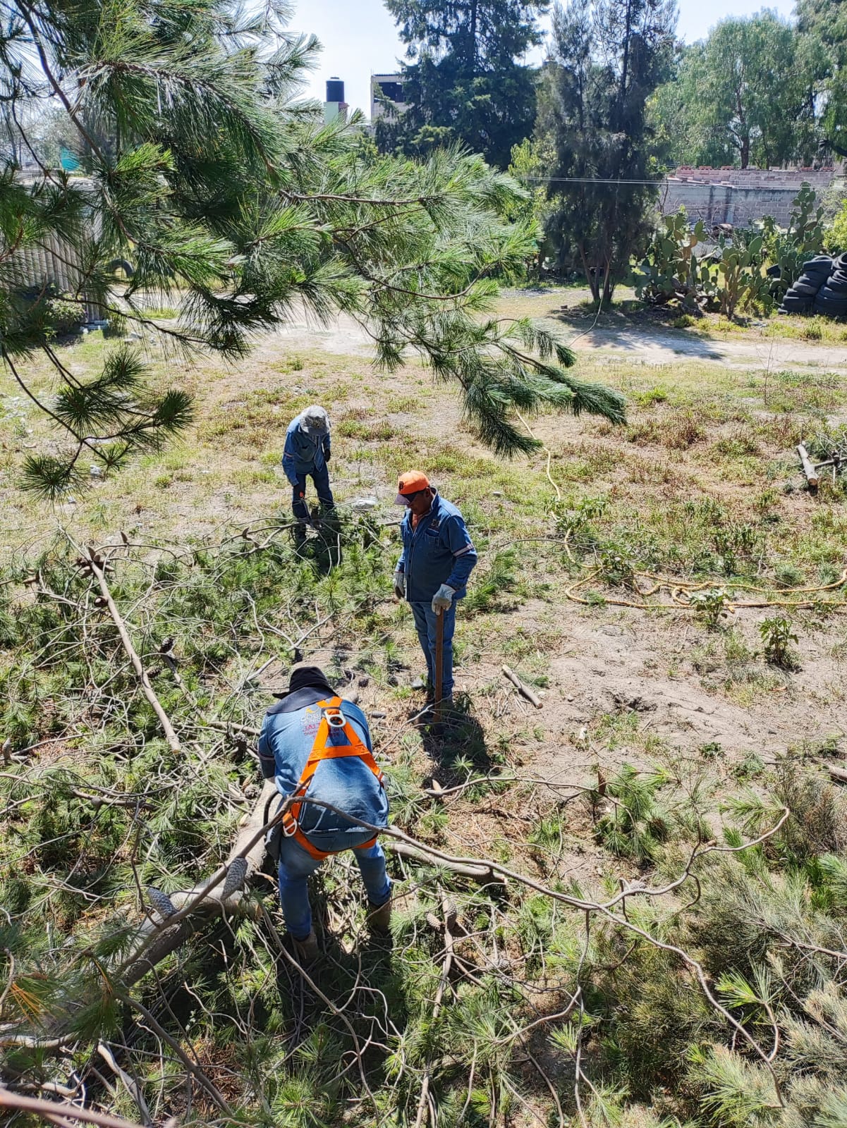 1686947671 848 El Gobierno Municipal de Jaltenco encabezado por la C Rosario