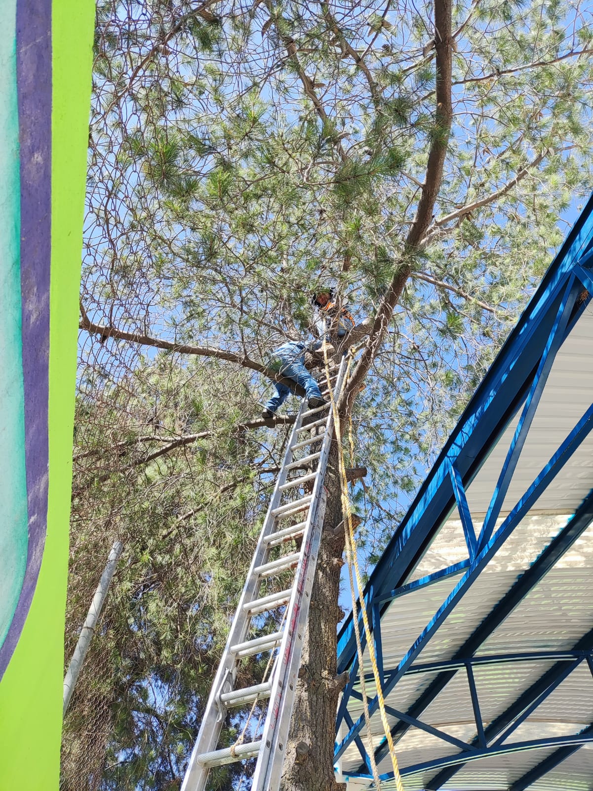 1686947726 El Gobierno Municipal de Jaltenco encabezado por la C Rosario