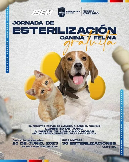 1686956571 Jornada de esterilizacion canina y felina El dia 20 jpg