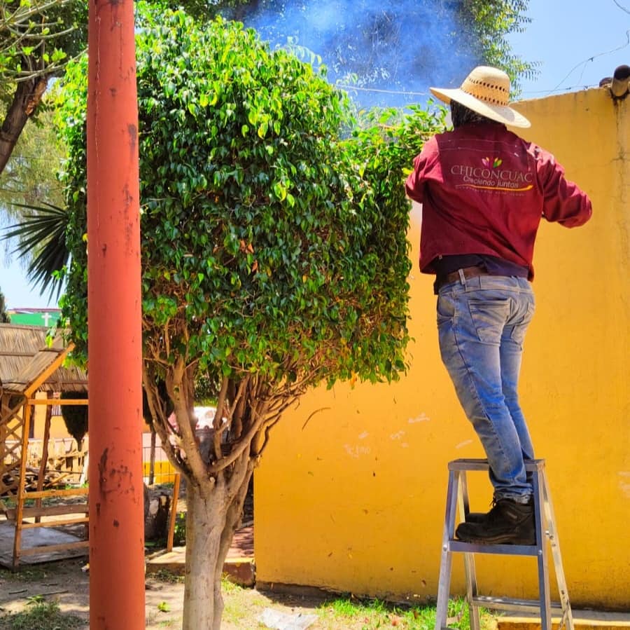 1686956797 925 UNIDAD DE PARQUES Y PANTEONES Continuamos con todo nuestro esfuerzo