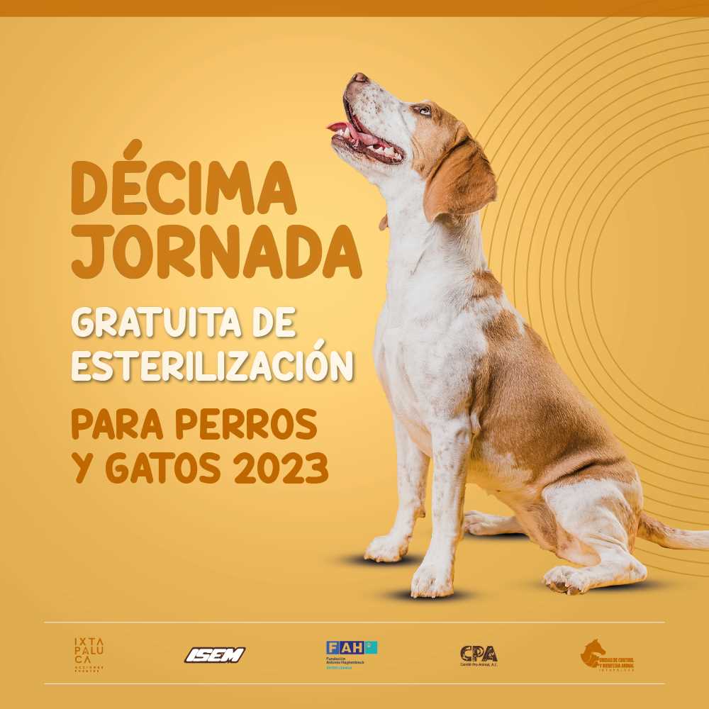 1687100100 Ya llego la Decima Jornada Gratuita De Esterilizacion Este 19