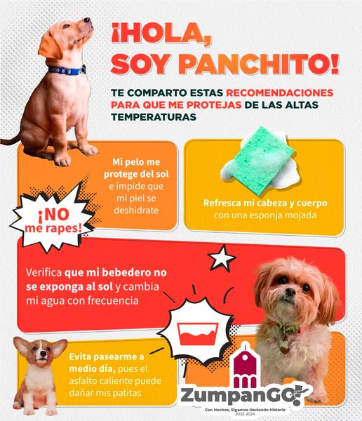 1687119341 En estos dias de altas temperaturas nuestros fieles amigos peludos