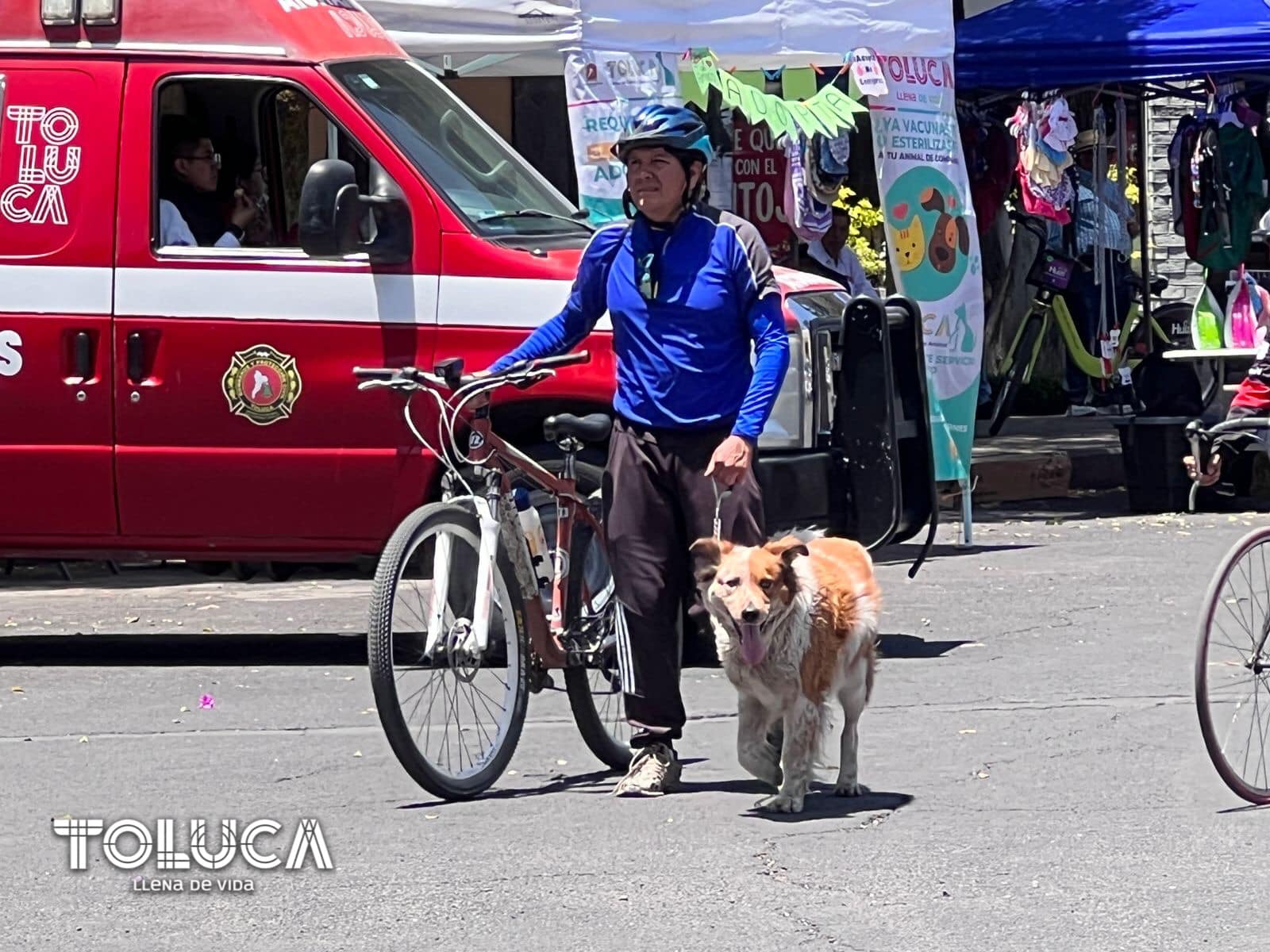 1687123351 620 ¡Asi estamos viviendo el DiaDelPadre en nuestro PaseoDominical