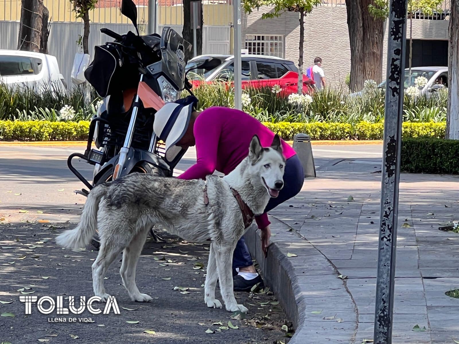 1687123363 791 ¡Asi estamos viviendo el DiaDelPadre en nuestro PaseoDominical