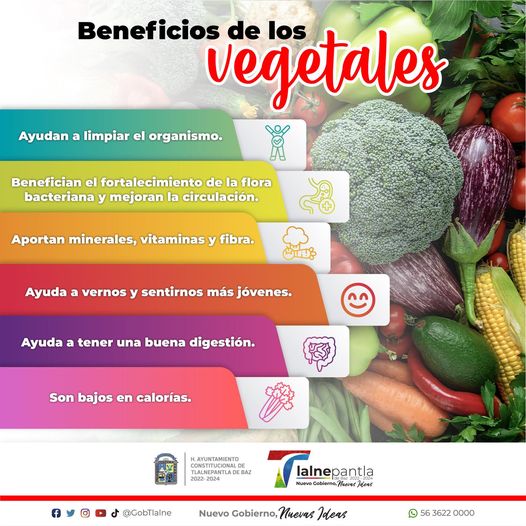 1687195782 Consume verduras y cuida tu salud