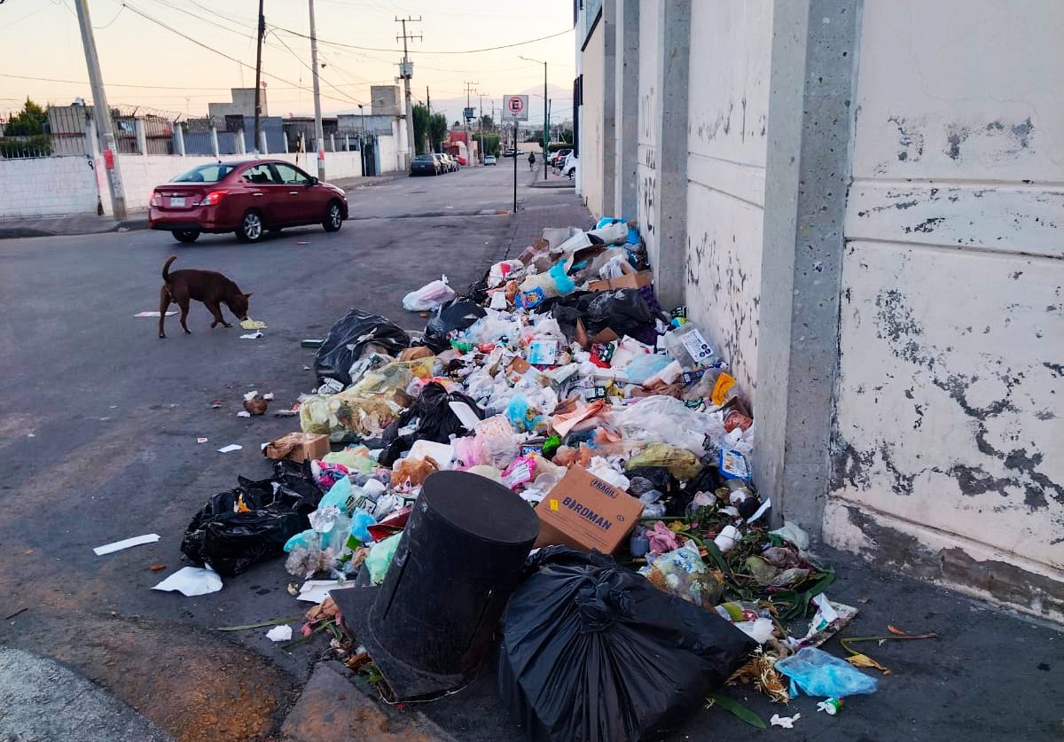 1687197141 748 Contribuyamos con el cuidado de nuestro medio ambiente y de