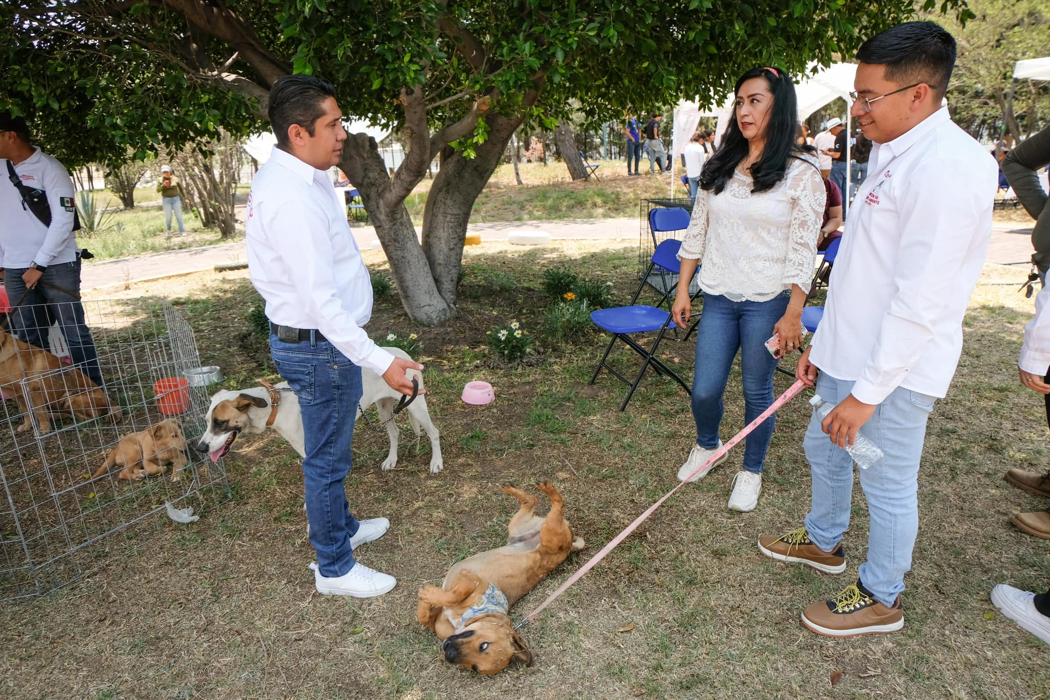 1687198405 319 ¡Asi vivimos la Feria del Medio Ambiente en el vivero