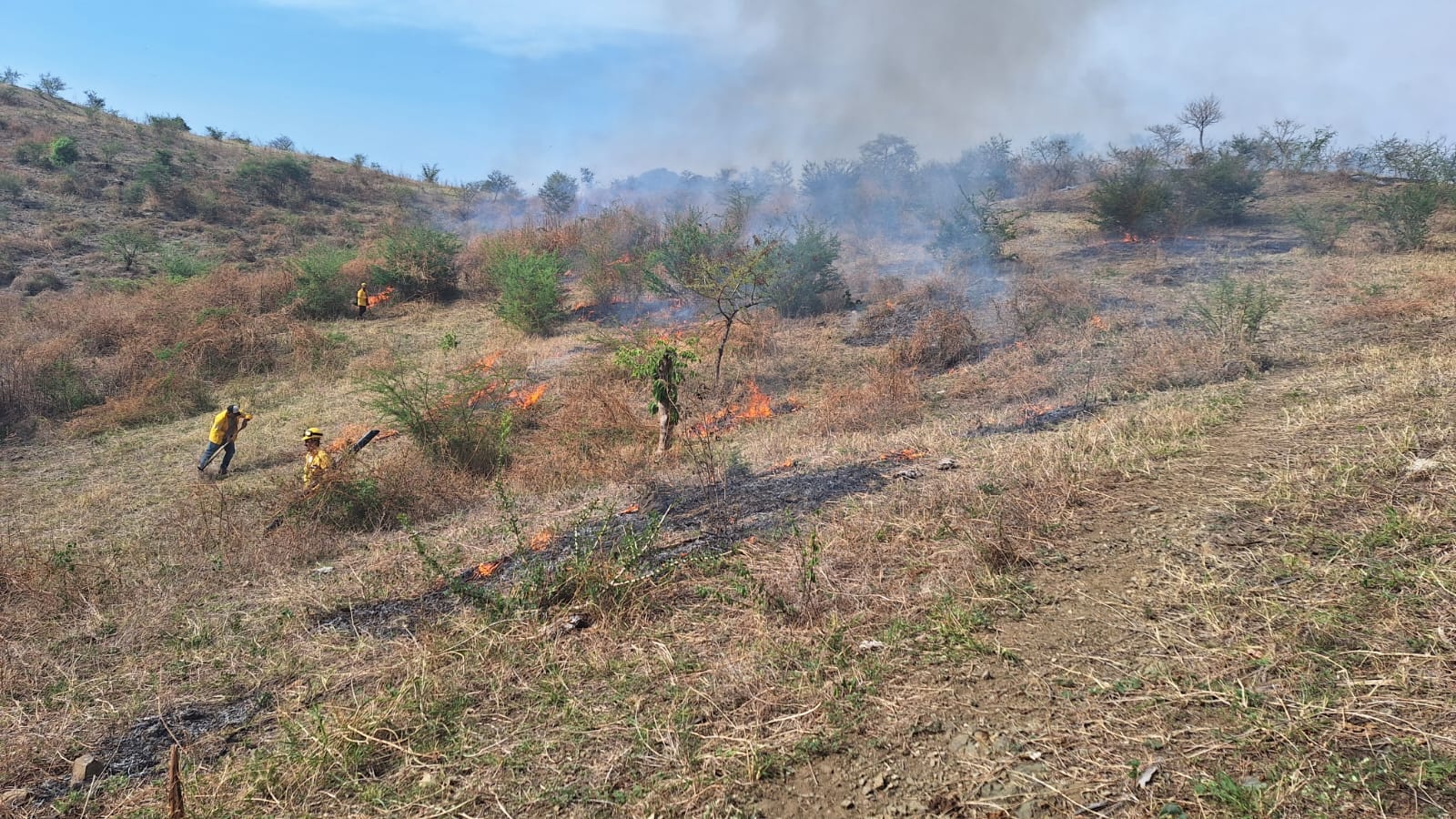 1687209587 112 Se apoyo con Quema Agricola controlada por el riesgo de