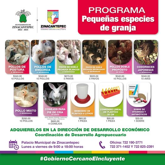 1687215167 ARRANCA PROGRAMA DE PEQUENAS ESPECIES DE GRANJA Adquiere Pequenas especies