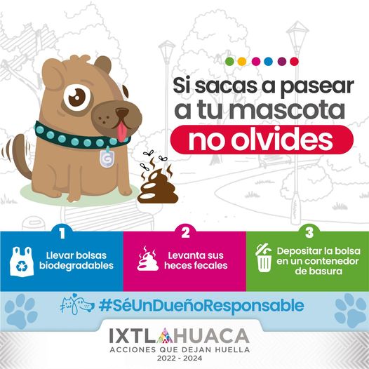 1687217743 Cuidar a tu mascota es sinonimo de salud para todos